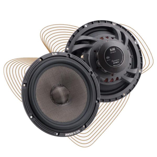 Woofer WS8